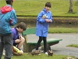 Feeding the ducks at Trenance Gardens, Newquay